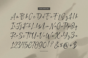 Pegiblue | Classic Signature Font, a Font by Denustudios (Thumbnail 10 of 13)