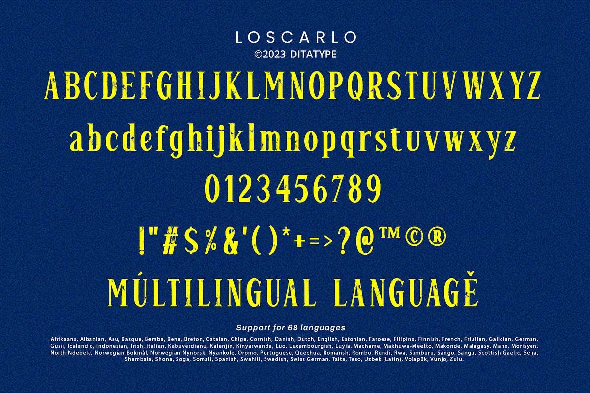 Loscarlo, a Sans Serif Font by Ditatype (Photo 9 of 10)