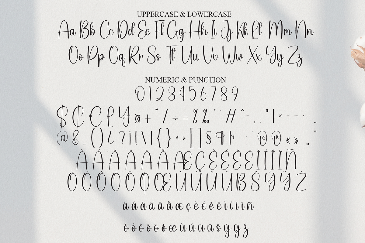 Someting | Script Font, a Handwritten Font by Scratchones (Photo 7 of 9)