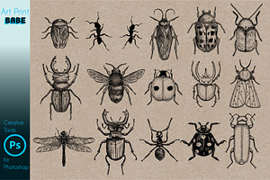 Photoshop Insect Brushes Tattoo Art