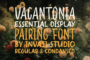 Vacantonia - Brush Display Pairing