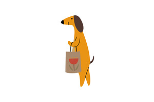 Purebred Brown Dachshund Dog with, an Animal Illustration by TopVectors