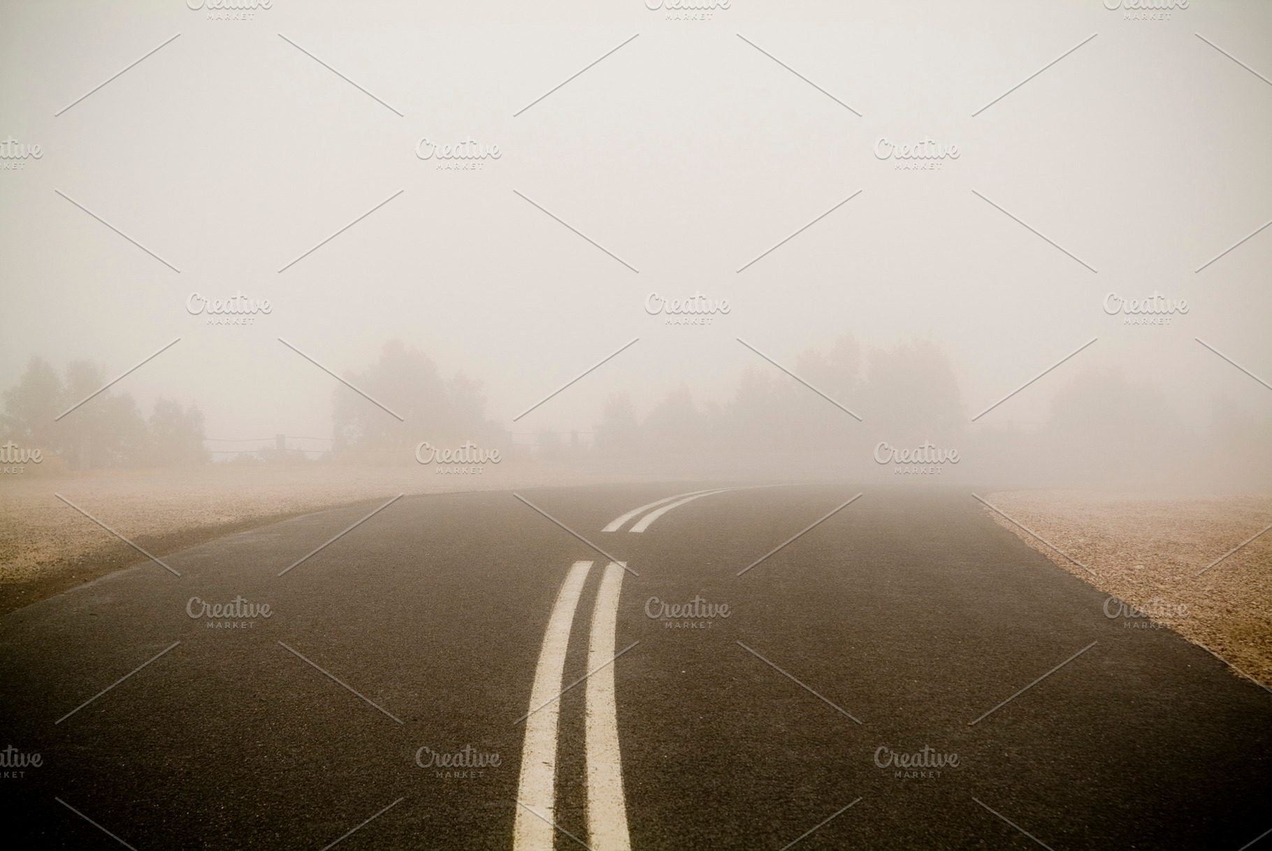 Foggy Road, a Nature Photo by THP Creative