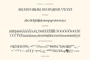 CS Ginva – Stylish Serif Font, a Serif Font by Craft Supply Co. (Thumbnail 8 of 8)