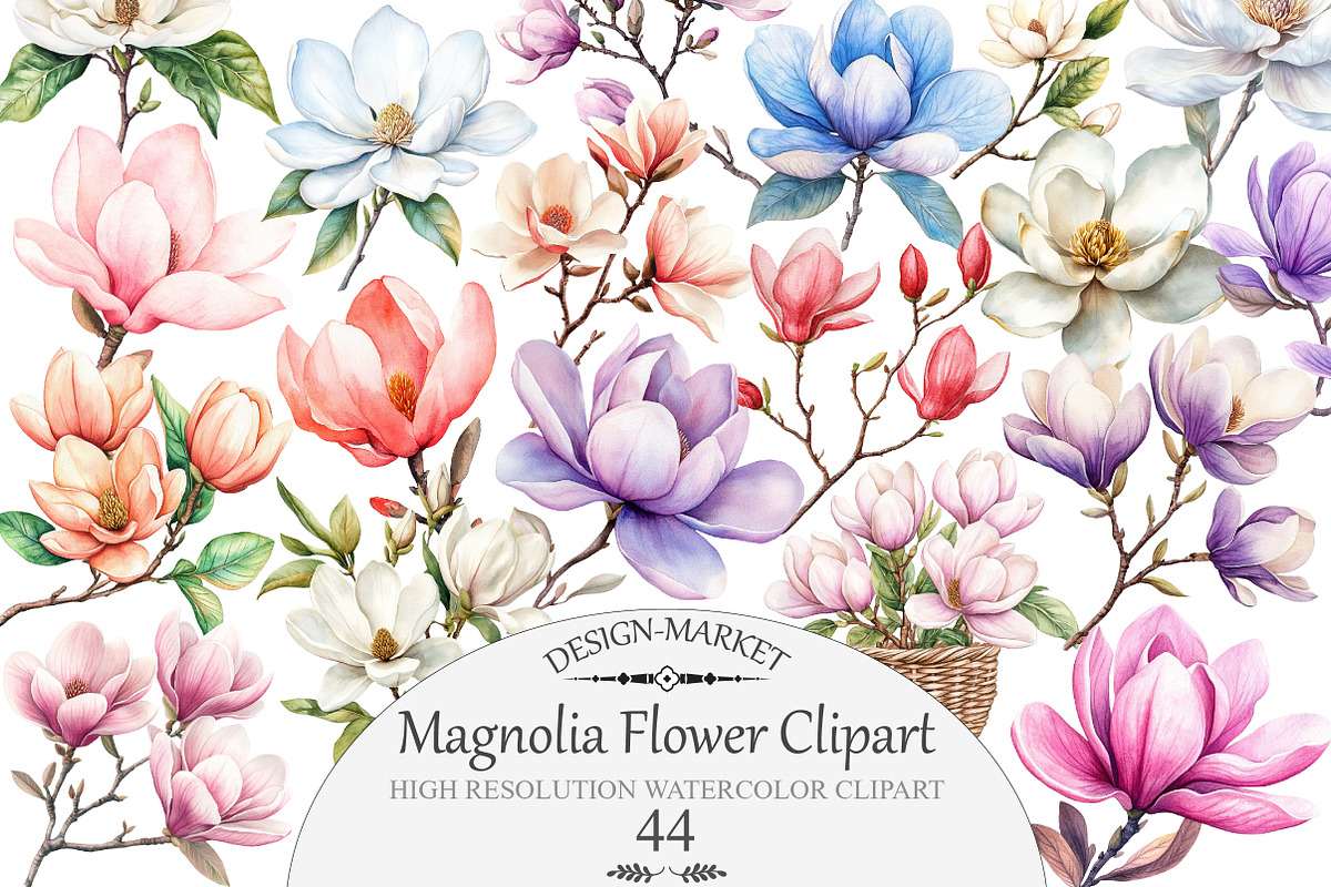 Watercolor Magnolia Flower Clipart, an Illustration by Design Market (Photo 1 of 5)