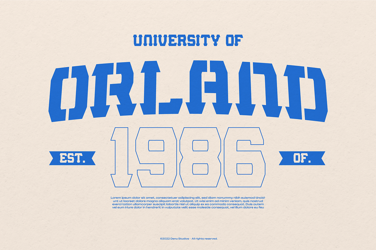 Rookie Assist | Sport Display Font, a Slab Serif Font by Denustudios (Photo 2 of 12)