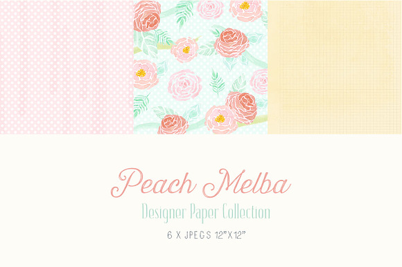 Digital Designer Paper - Peach Melba preview 4