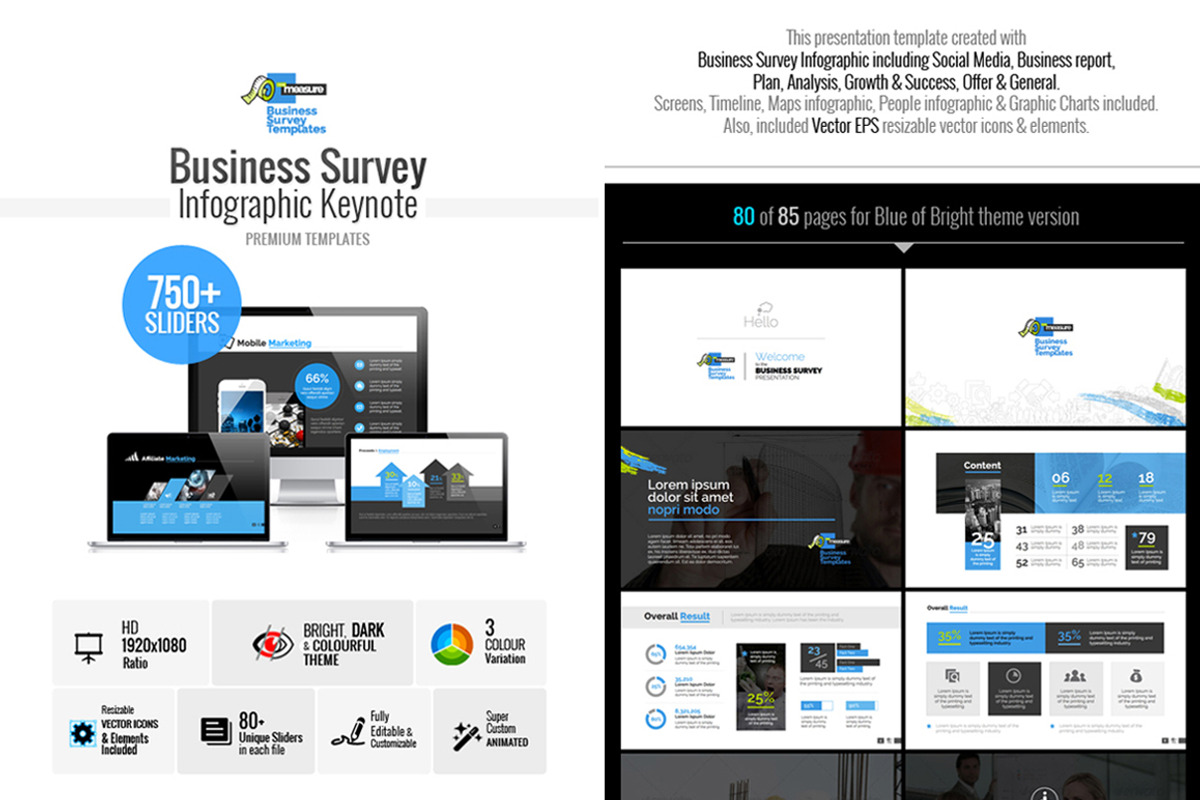 Business Survey Keynote Template preview 2