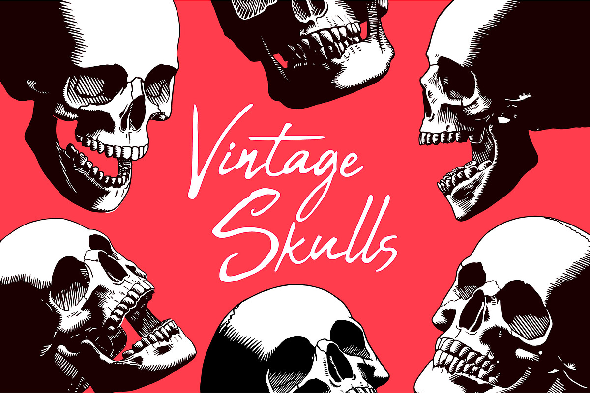 Vector Engraved Skulls Set, an Illustration by Andres M Rodriguez (Photo 2 of 5)