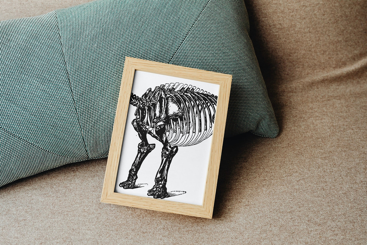 160 Paleontology Illustrations, an Animal Illustration by TheBlackPixelCo (Photo 7 of 8)