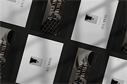 Volo - Project Proposal for Canva, a Presentation Template by EnvolAgency (Thumbnail 3 of 5)