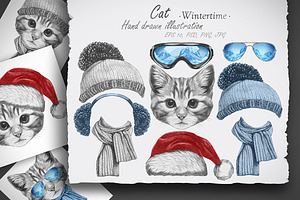 Cat / Wintertime