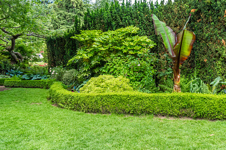 Quiet Lawn With Trees preview 6