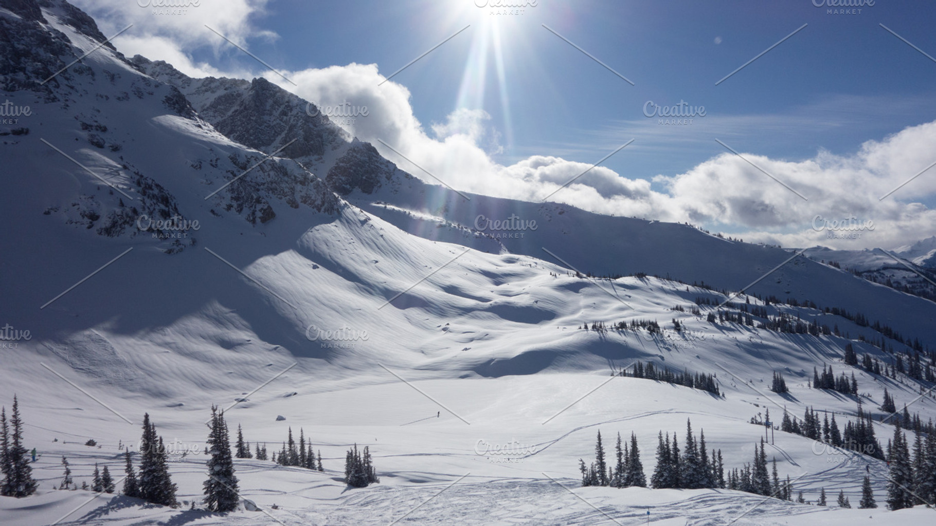 Powder Skiing In Whistler Bc