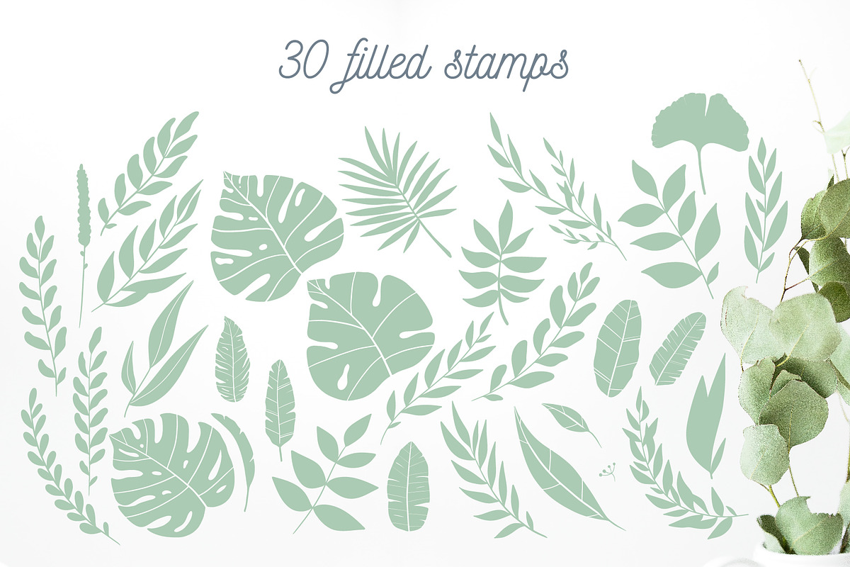 Stamp Collection | Procreate brushes, a Brush Add-On by Wander Designs (Photo 7 of 8)