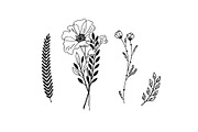 800+ DOODLE ELEMENTS SET, a Templates & Theme by karakotsya (Thumbnail 16 of 24)