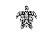 Mandala Sea Turtle SVG Bundle, an Illustration by yasushie (Thumbnail 10 of 31)