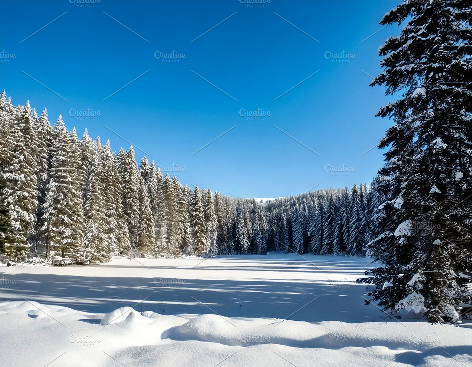 Winter Season, a Holiday Photo by Prince Cyber Graphics
