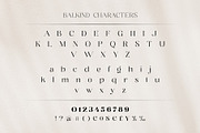 Balkind - Modern Beauty Serif Font, a Serif Font by Ekahermawan (Thumbnail 18 of 25)
