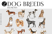 DOG BREEDS Encyclopedia, an Animal Illustration by Anastezia Luneva (Thumbnail 3 of 13)