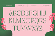 Jaella - Modern Serif Font, a Serif Font by creativemedialab (Thumbnail 11 of 15)