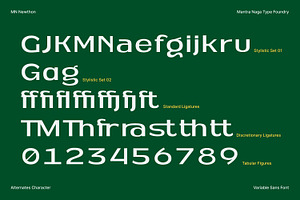 MN Newthon - Versatile Variable Font