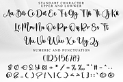 Birthday Magnolia, a Handwritten Font by FreshTypeINK (Thumbnail 4 of 7)