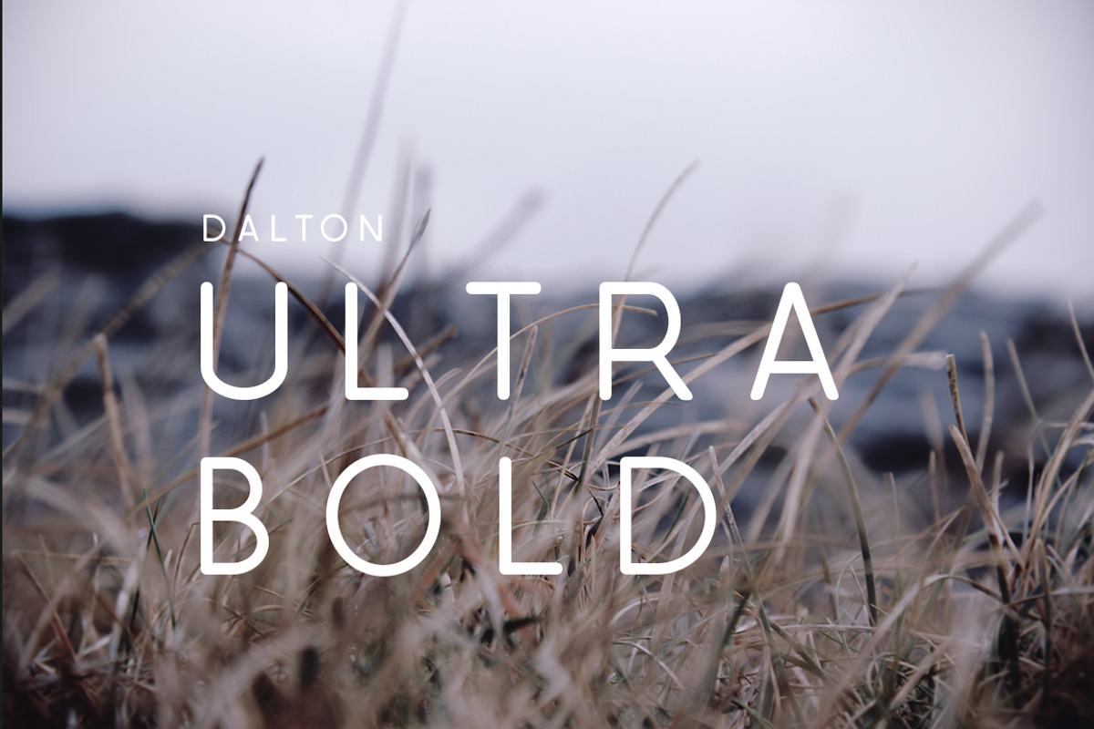 The Sleek Font Bundle, a Sans Serif Font by Zone 6 (Photo 25 of 29)