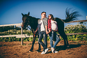 Sunny Farm- 7 Lr presets, an Action Add-On by Graphics, Presets, Photos (Thumbnail 3 of 15)