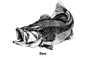 Fish collection, part 4, an Illustration by ZotovShop (Thumbnail 3 of 11)