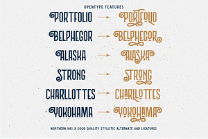 Northern 5 Fonts With Extras