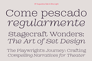 DT Augustina Slab 6 Subfamily, a Slab Serif Font by Deveze Type Foundry (Thumbnail 4 of 30)