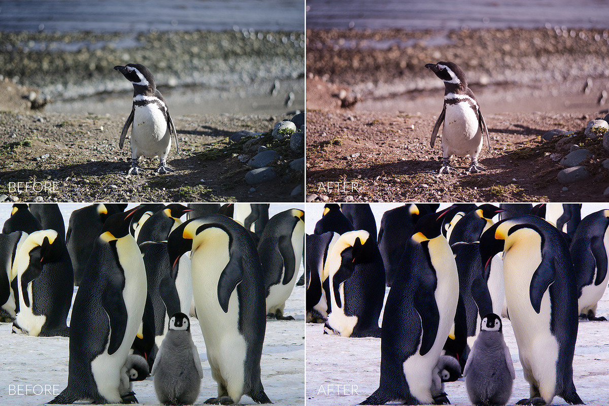 Antarctic Lr Presets, an Action Add-On by PandoraDreams (Photo 2 of 4)