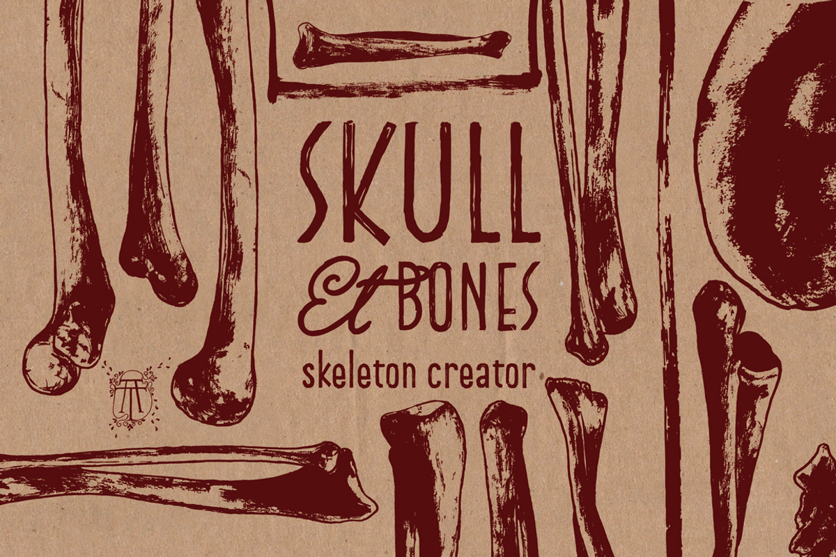 Skeleton Creator - Front & Profile, an Illustration by Andrea Tardivo (Photo 3 of 5)