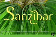 Sanzibar Pro, a Sans Serif Font by ArtyType (Thumbnail 1 of 7)