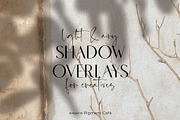 Leafy Botanical Shadow Overlays, a Background Graphic by Pigment Café (Thumbnail 2 of 8)