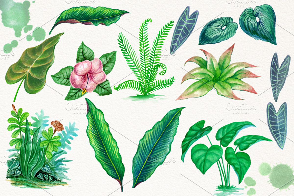 Tropical Leaves in the Jungle, an Illustration by Graphobia (Photo 5 of 9)