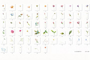 Spring Floral Nature Watercolor Set, a Decorative Illustration by NatalieArtsDenysenko (Thumbnail 5 of 11)