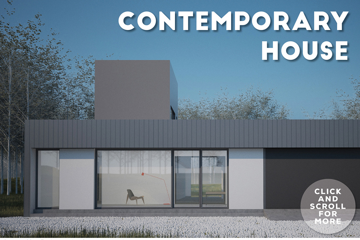 Contemporary House NK01, an Architecture 3D Model by Northern Kraft