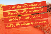 Saddle Nomad Bold Brush, a Script Font by Letterena Studios Script (Thumbnail 10 of 25)