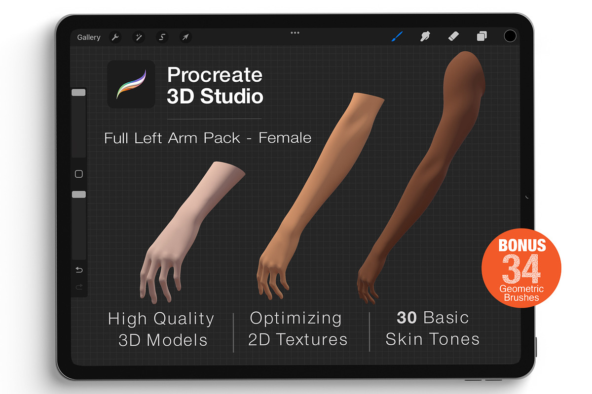 Procreate 3d Model - Left Arm Female, a Characters & Person 3D Model by Procreate3dStudio (Photo 1 of 5)