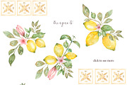 Sunny Sicilian Lemon, a Decorative Illustration by MayaNavits (Thumbnail 5 of 11)