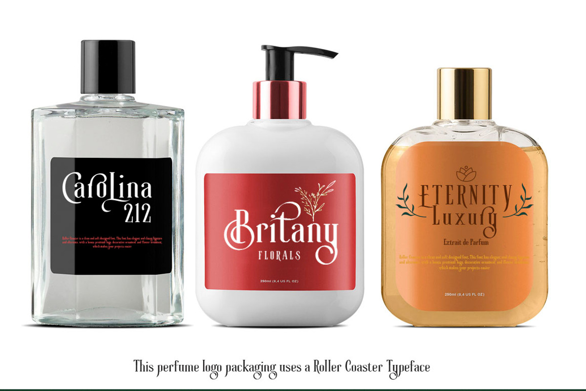 Roller Coaster Serif (Bonus), a Serif Font by Anxiety Studio (Photo 12 of 19)