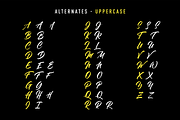 Julietta - SUMMER SALE - 70% OFF!, a Handwritten Font by StereoType (Thumbnail 8 of 9)