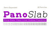 Pano Slab Semi Expanded, a Slab Serif Font by artisans (Thumbnail 1 of 7)
