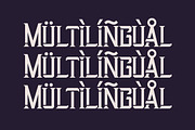 Startrail Futuristic Retro Family, a Serif Font by Lettertype Studio (Thumbnail 13 of 15)