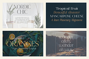 Just Type Bundle Vol.01 - 300 fonts, a Serif Font by VP Fonts (Thumbnail 3 of 19)