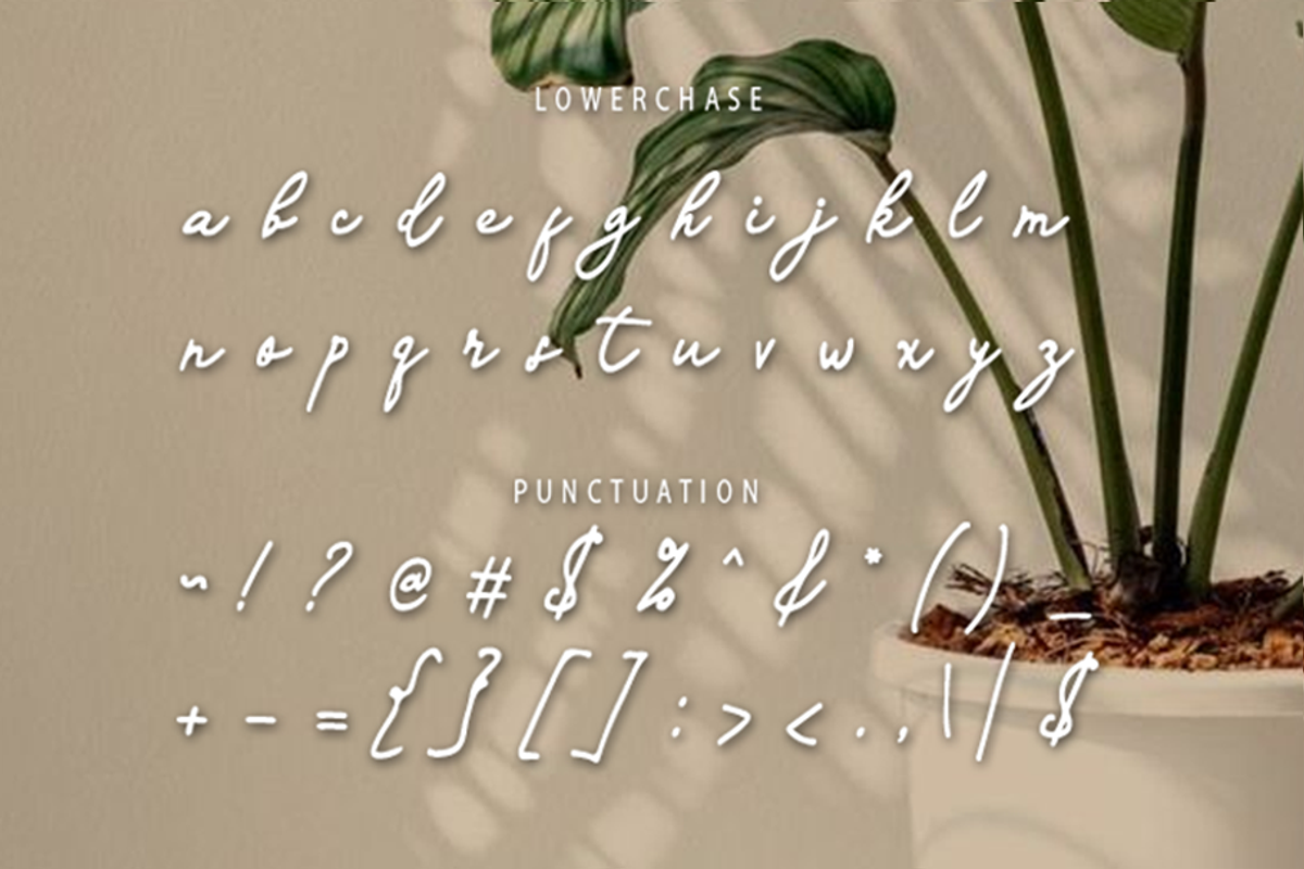 Kaldera, a Handwritten Font by GlottaTypeface (Photo 6 of 8)