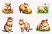 Watercolor Capybara clipart PNG, an Illustration by CreationArt (Thumbnail 5 of 5)