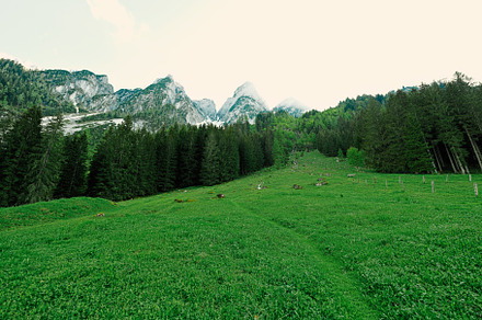 Mountain clean water source at Vorderer Gosausee, Gosau, Upper A, a Background Photo by AS photostudio